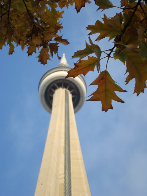 DSC05043.jpg