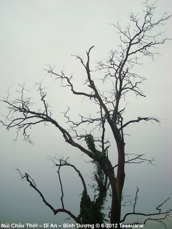 DSC05912.jpg