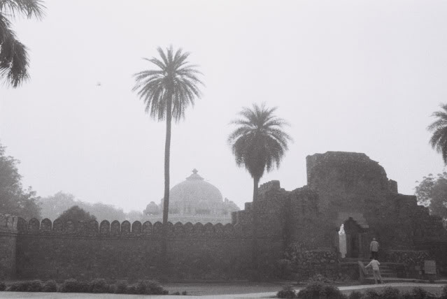 20110426-24.jpg