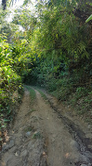 33848304622_d7dca87825_m.jpg