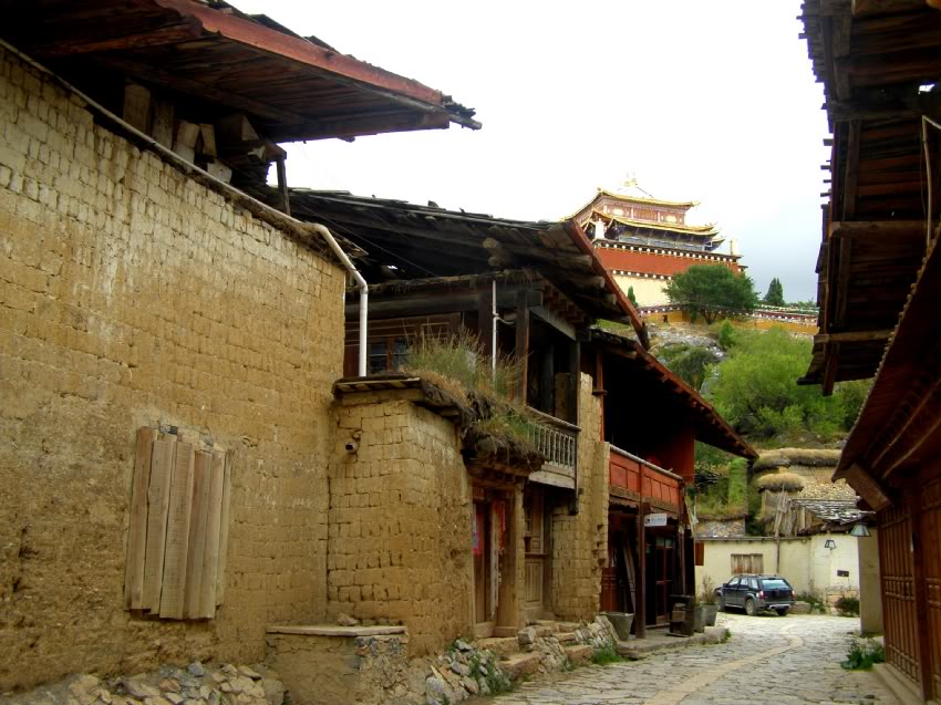 PA030222-1.jpg
