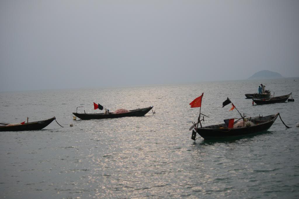 IMG_8805.jpg