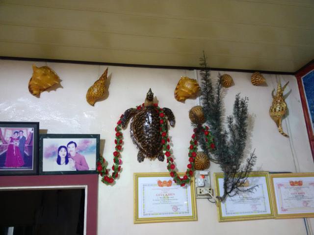 IMG_20140715_194009.jpg
