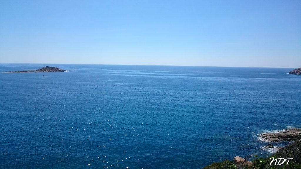DSC_4017.jpg
