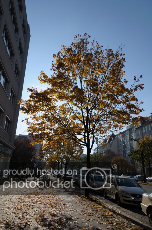 Duc-Berlin003.jpg