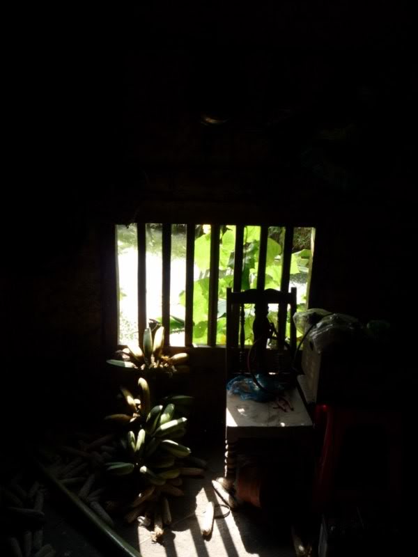 P1010863800x600-1.jpg