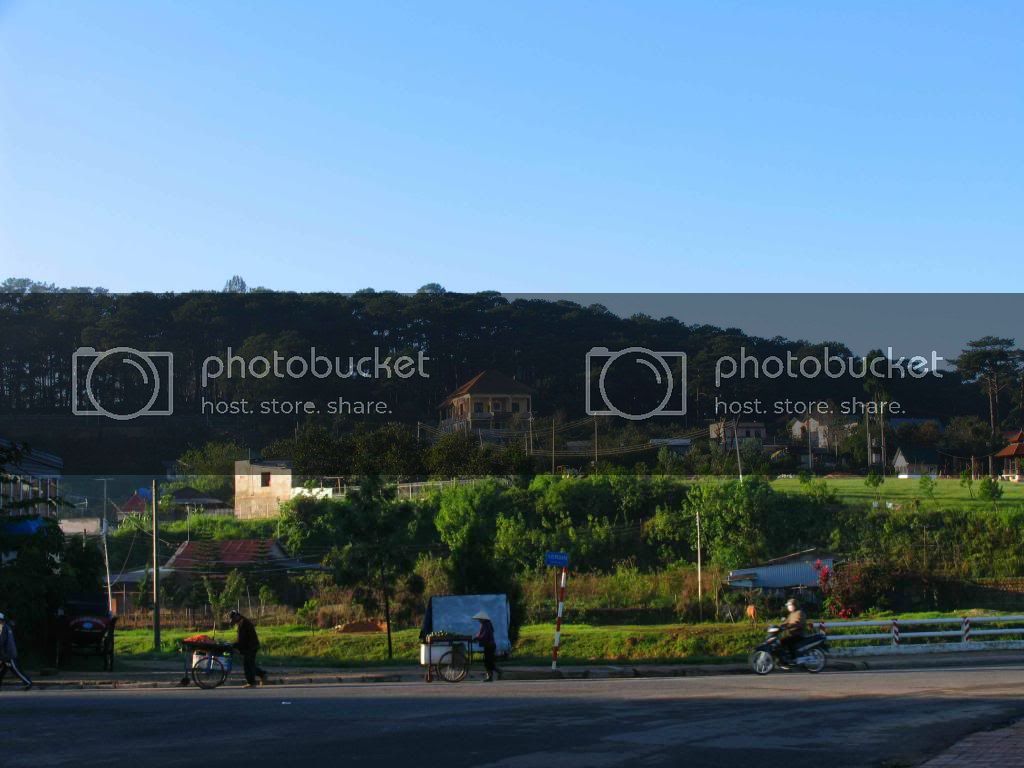 IMG_1610_zpsb7782cfb.jpg
