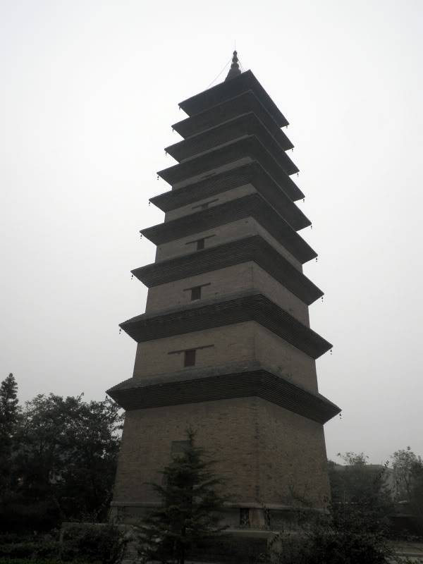 PA222907.jpg