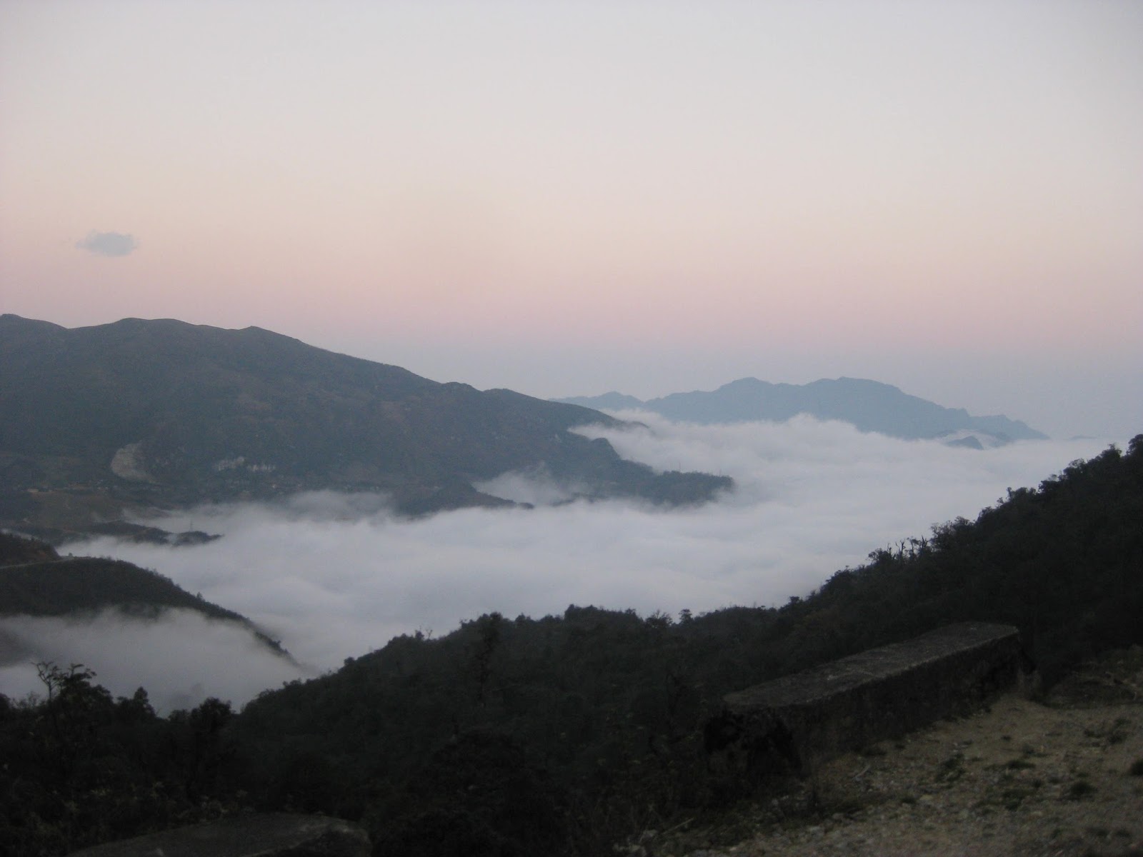 IMG_0257.jpg