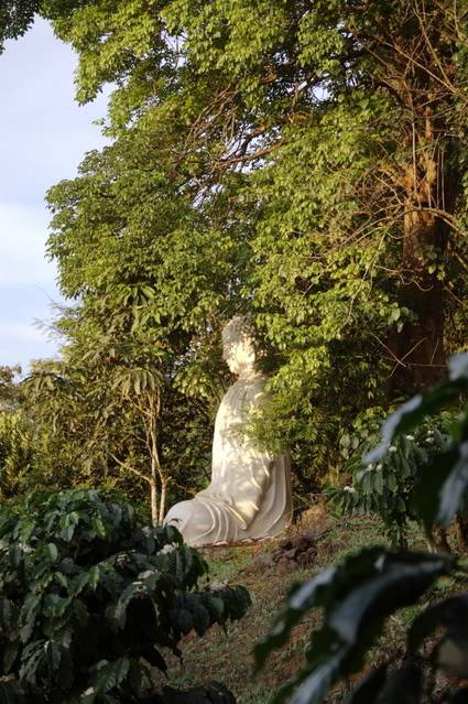 DSC_0067.jpg