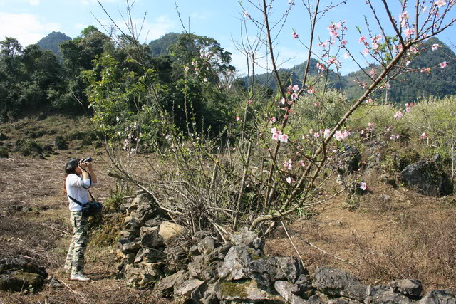 longluong18.jpg