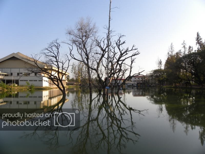 DSCN4076.jpg