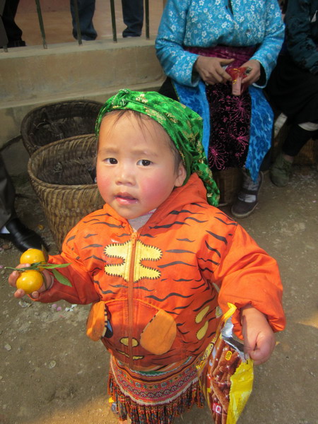 IMG_2864.jpg