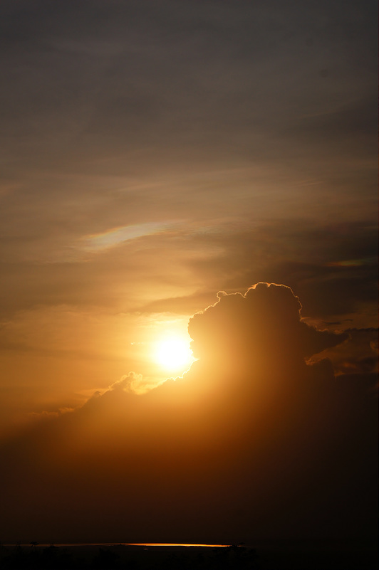 7001737486_81030b8fe0_c.jpg