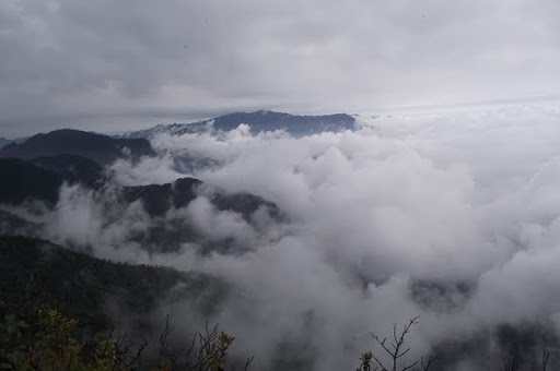 DSCF0611.JPG