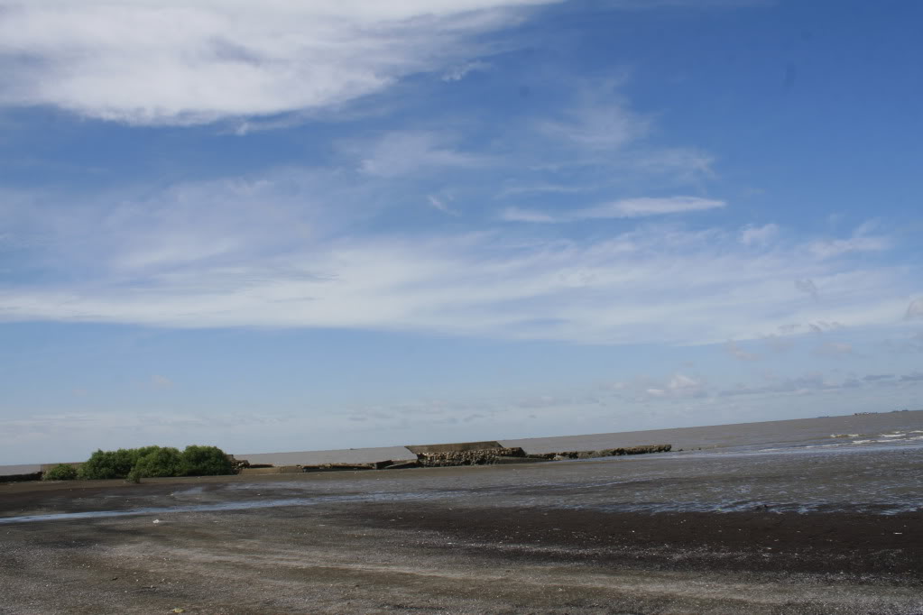 _MG_9935.jpg