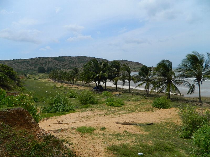 DSCN2169.jpg