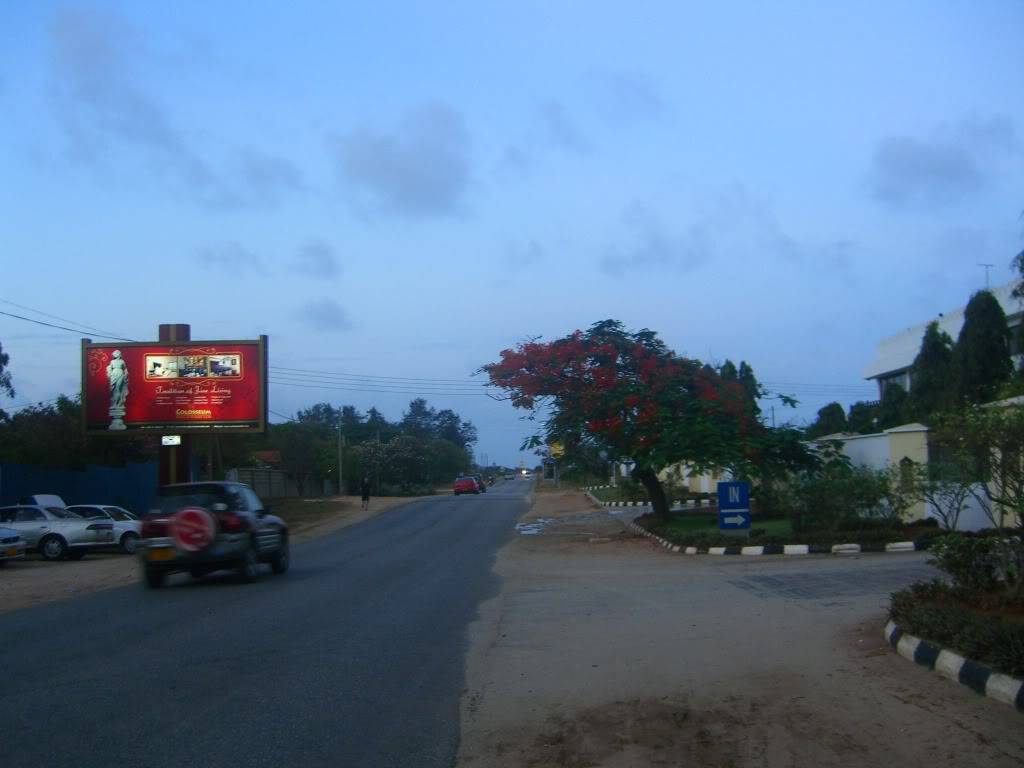 CIMG4737.jpg