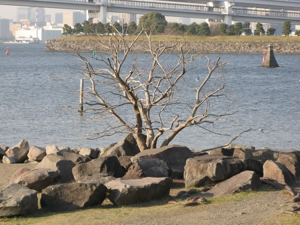 IMG_2598_resize.jpg