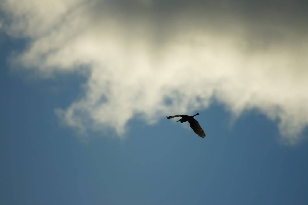 DSC05160.jpg