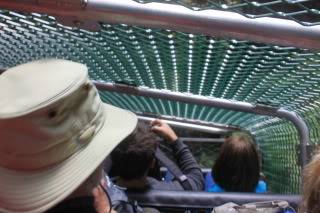 IMG_8149.jpg