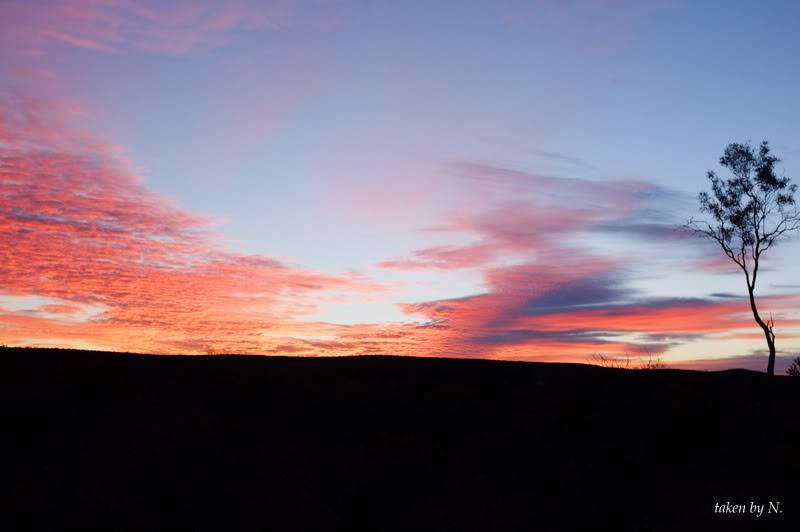 2012_0610AH.jpg
