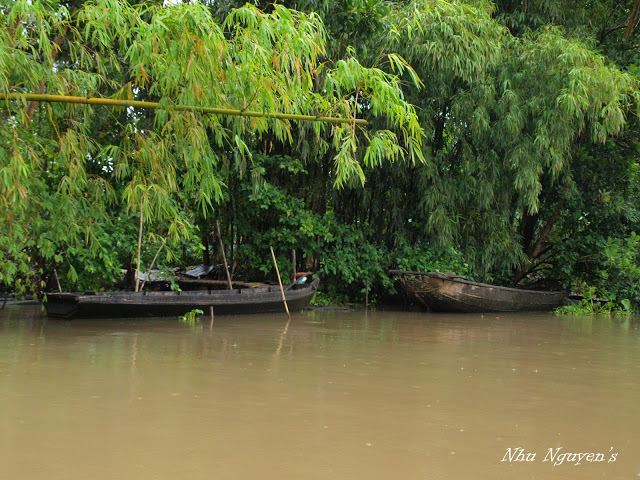 P9222633%20copy.jpg