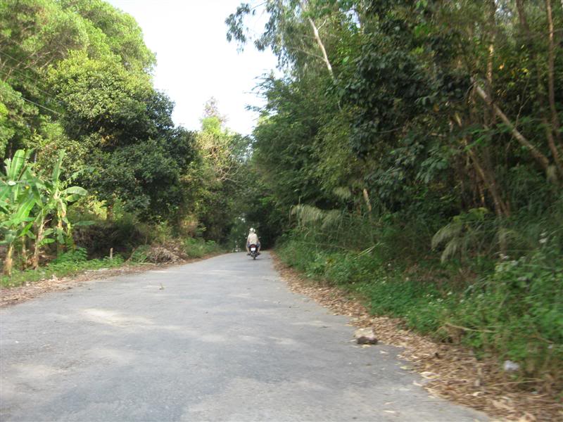 IMG_2440Medium.jpg