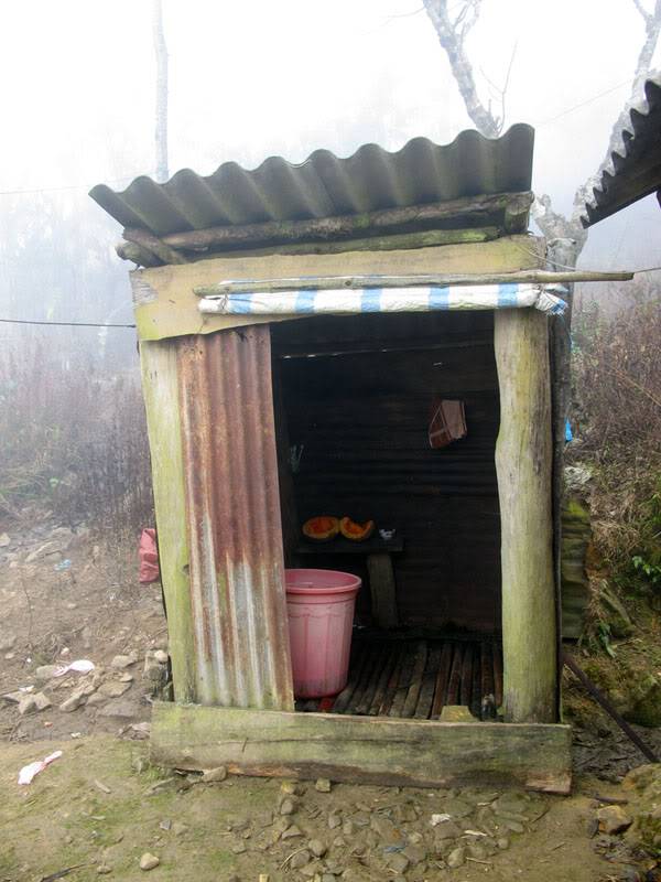 HongNgai2011482.jpg