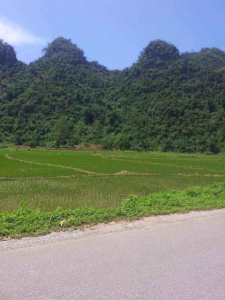 IMG_20140802_103321.jpg