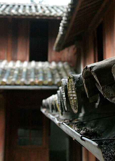 IMG_6139.JPG