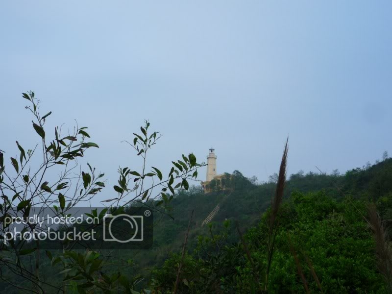 P1040696800x600.jpg