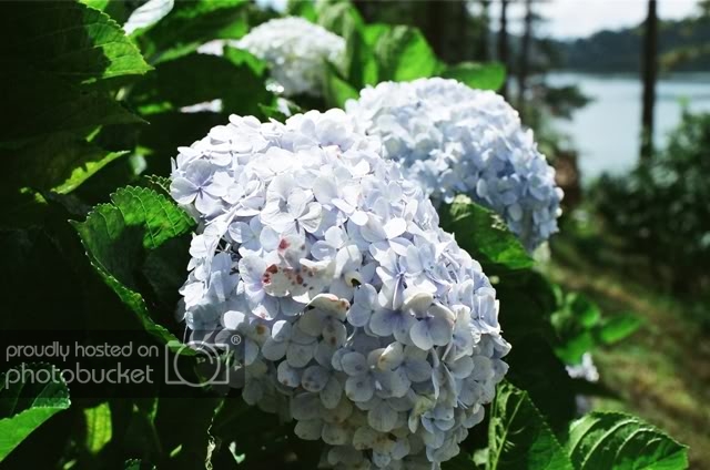 02690020-Copy.jpg