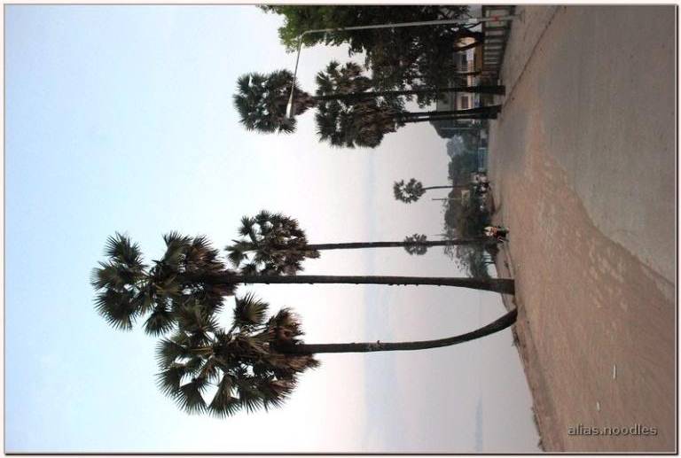 Lao_2009_0003.jpg