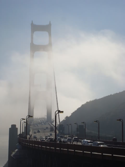 DSC07608.jpg