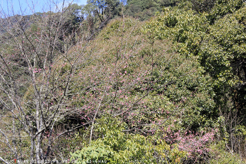 8564141733_62a6c98082_b.jpg