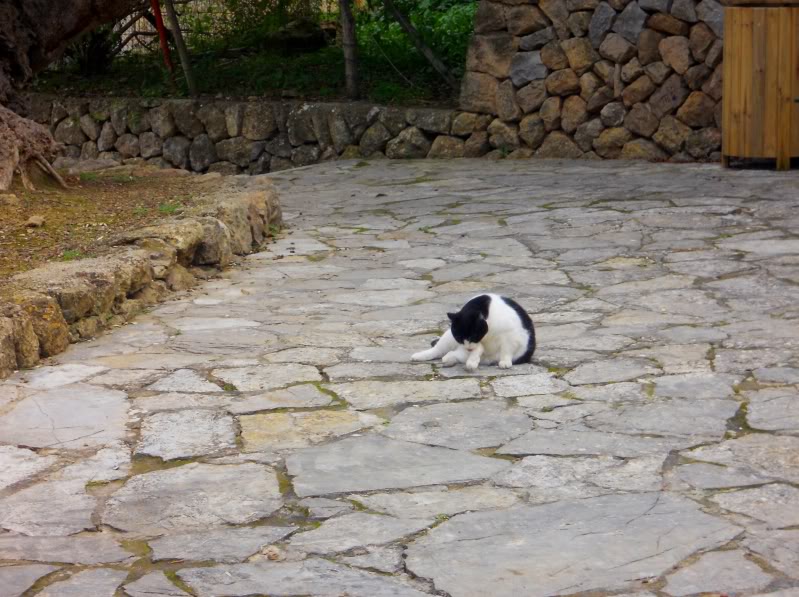 DSCN6241.jpg