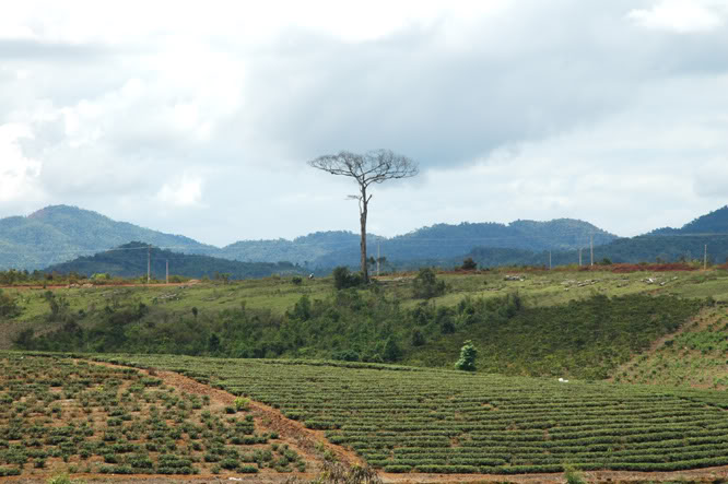 DSC_3463.jpg