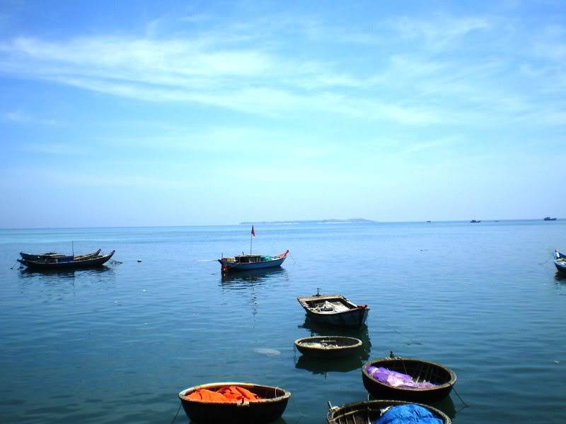 IMGP0087.jpg