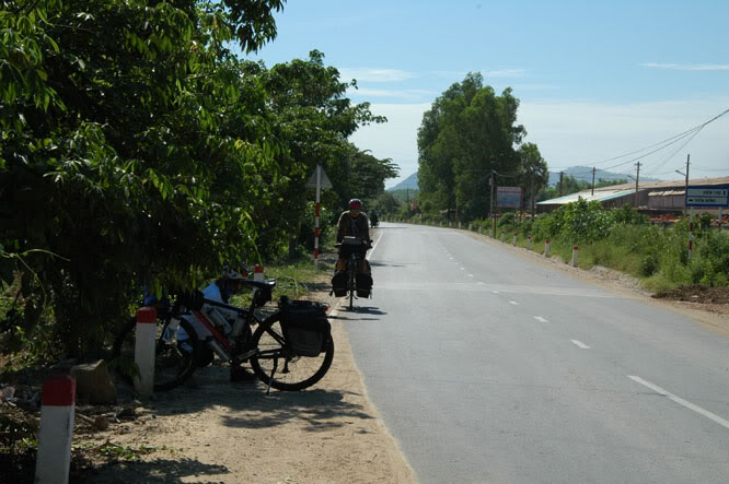 DSC_6536.jpg