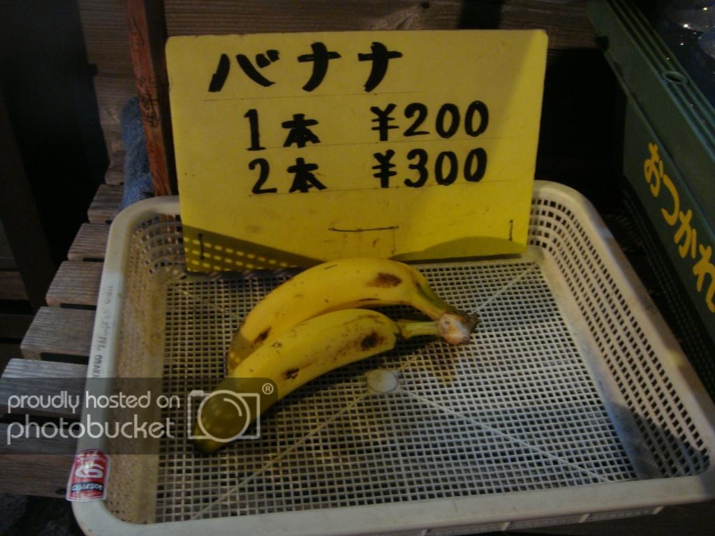 DSC09172_zpstwyypbaw.jpg