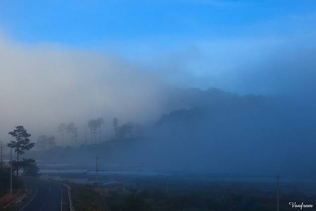 _MG_3091.jpg