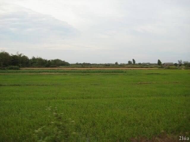 IMG_0730.jpg