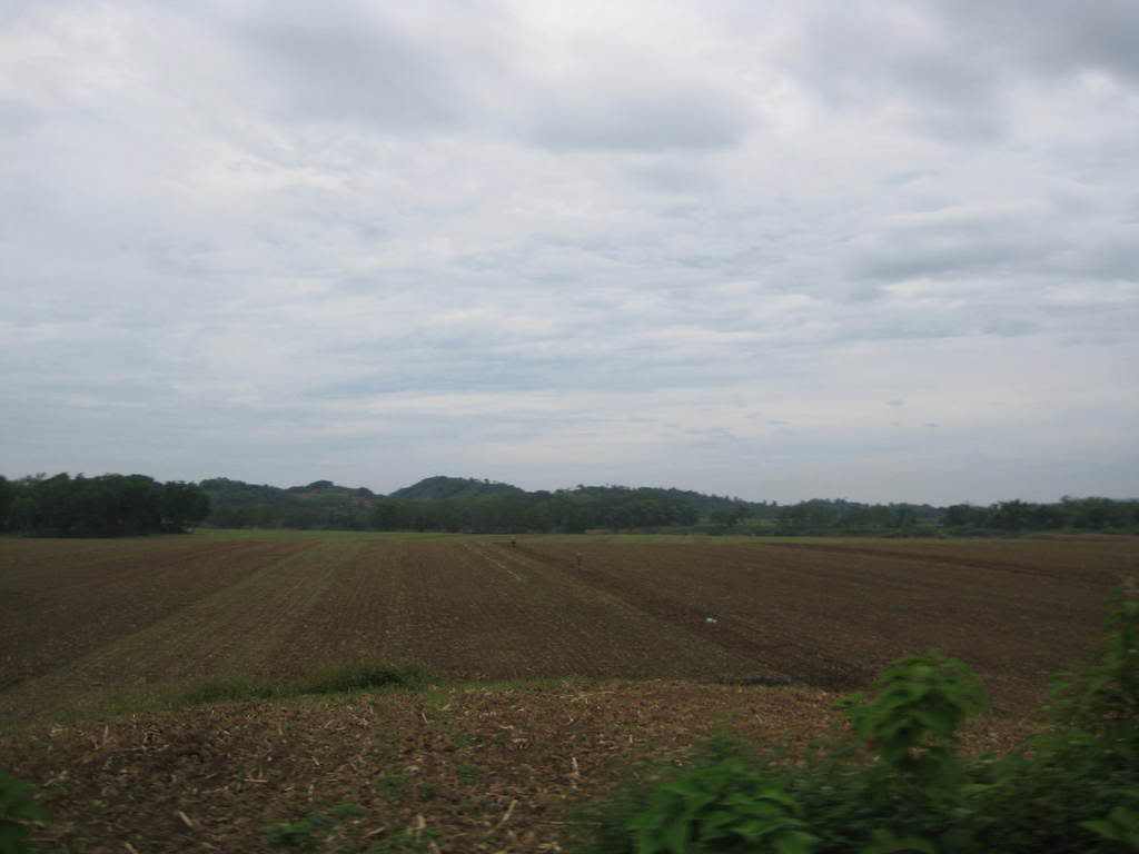IMG_2092.jpg
