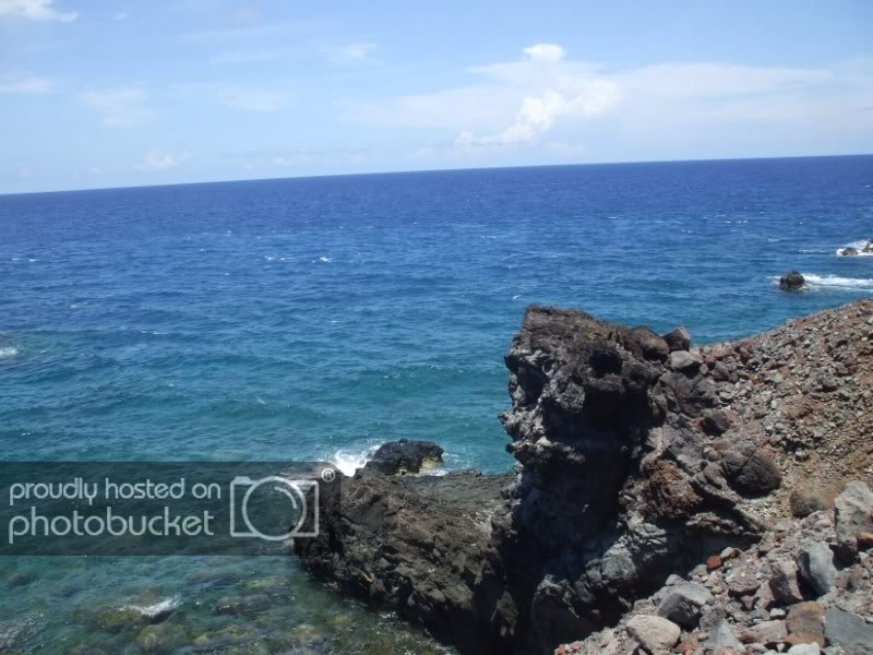 DSCF7595.jpg