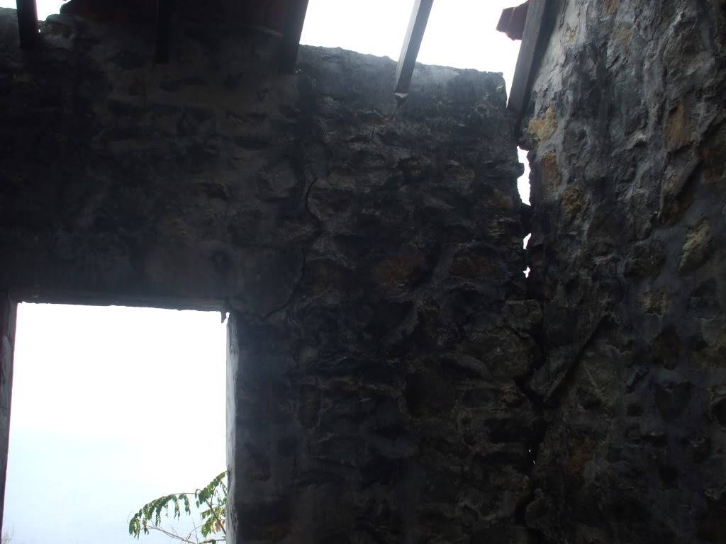 DSCF6423.jpg