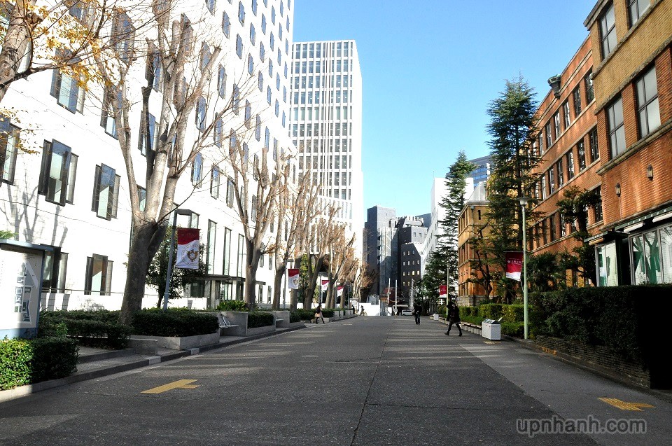 IMG_04664ca1f.jpg