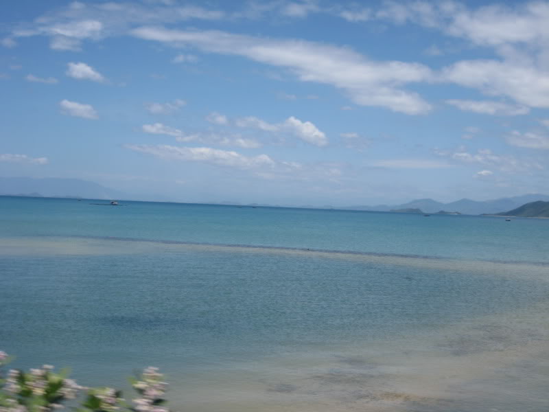 IMG_0274.jpg