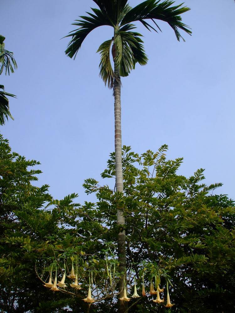 ResizeofDSCF5312.jpg