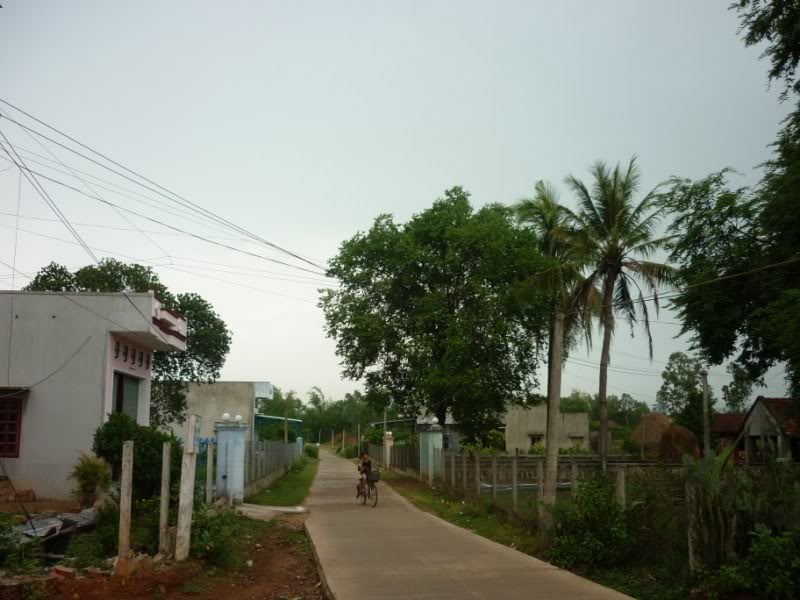 P1000342800x600.jpg